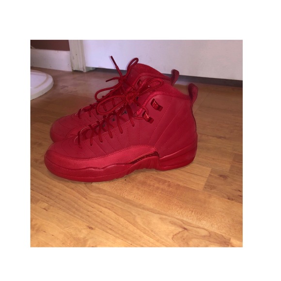 Nike Shoes - Nike Air Jordan Retro 12